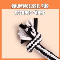 Spooky6 Die Spuk-Freunde Halloween-Kollektion