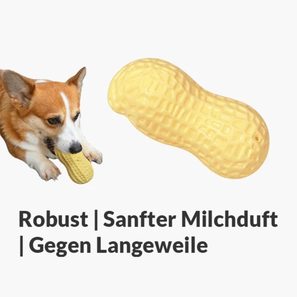 Quietsch-Erdnuss "Knabberli"