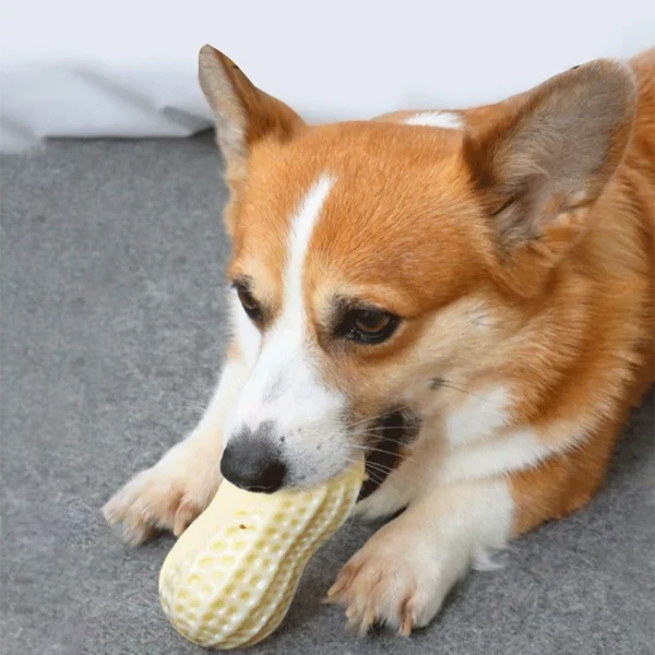 Quietsch-Erdnuss "Knabberli"