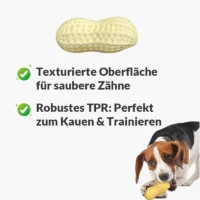 Quietsch-Erdnuss "Knabberli"