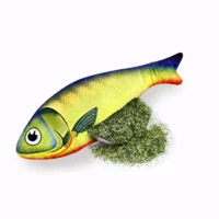 Kicker-Fisch „Minzi“