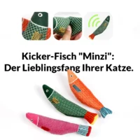 Kicker-Fisch „Minzi“