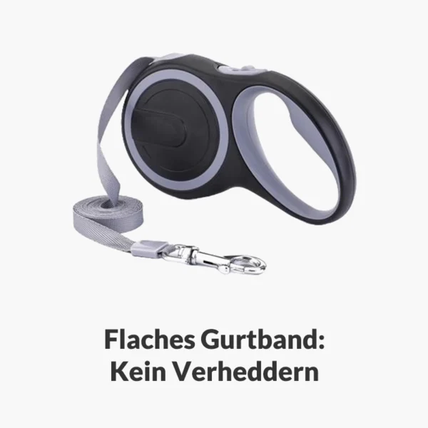 Automatik-Rollleine "Freilauf"