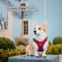 Sicherheits-Sportgeschirr "Air-Mesh"