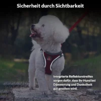 Sicherheits-Sportgeschirr "Air-Mesh"