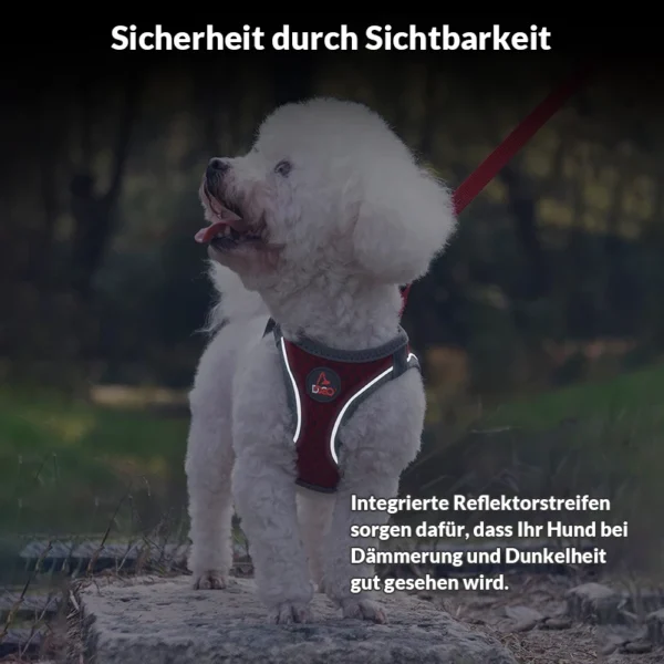 Sicherheits-Sportgeschirr "Air-Mesh"