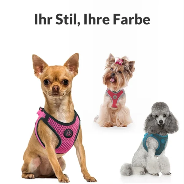 Sicherheits-Sportgeschirr "Air-Mesh"