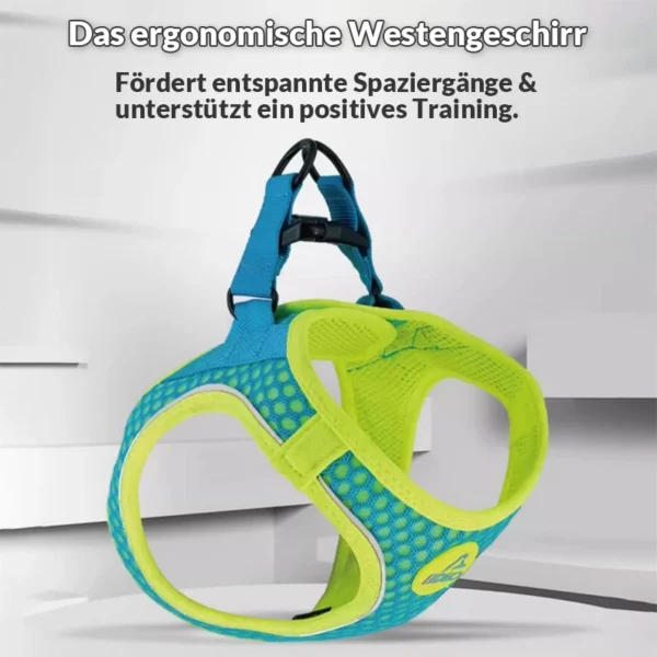 Sicherheits-Sportgeschirr "Air-Mesh"