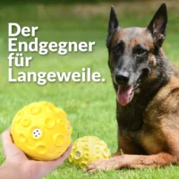 Interaktiver Sound-Ball "Meteor"