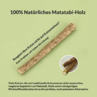 Katzenspielzeug Vital-Lauch mit Matatabi