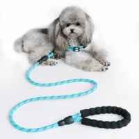 Reflektierende Sicherheitsleine "Nachtwache"