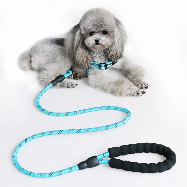 Reflektierende Sicherheitsleine "Nachtwache"