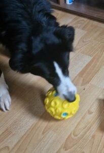 Interaktiver Sound-Ball "Meteor"